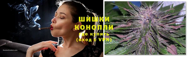 дмт Богородицк