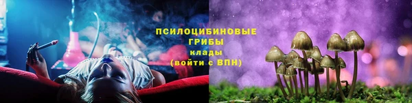 гашик Богданович