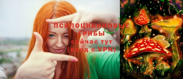 гашик Богданович