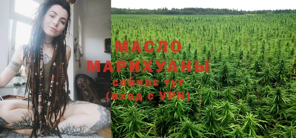 дмт Богородицк
