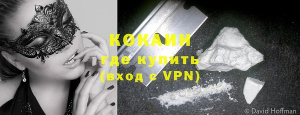 гашик Богданович