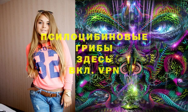 дмт Богородицк