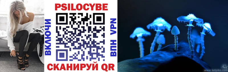 где можно купить наркотик  Гремячинск  Галлюциногенные грибы Cubensis 